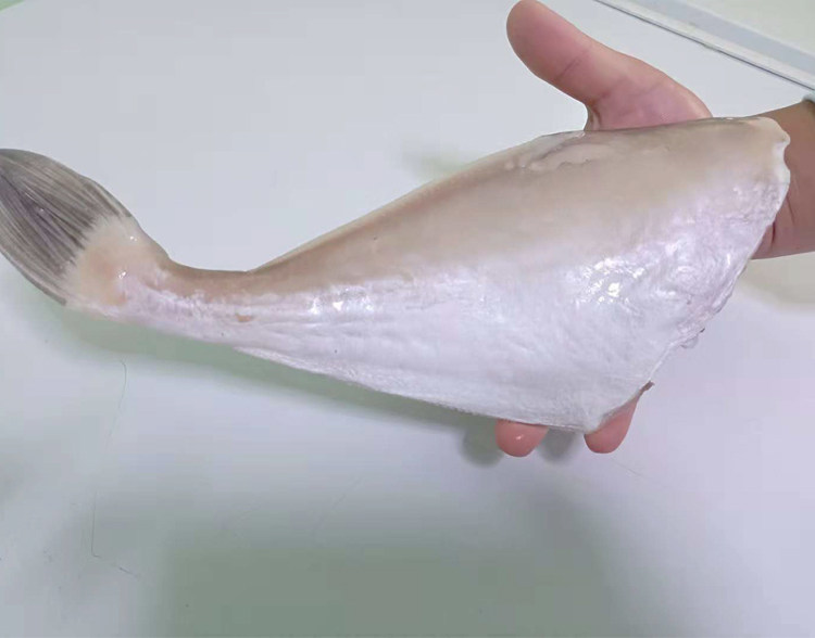 大号耗儿鱼500g 新鲜冷冻马面鱼 扒皮鱼海鲜水产 剥皮鱼 重庆四川