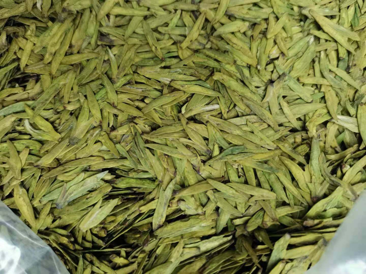 2022新茶上市明前龙井43号甘肃陇南文县碧口龙井茶非西湖