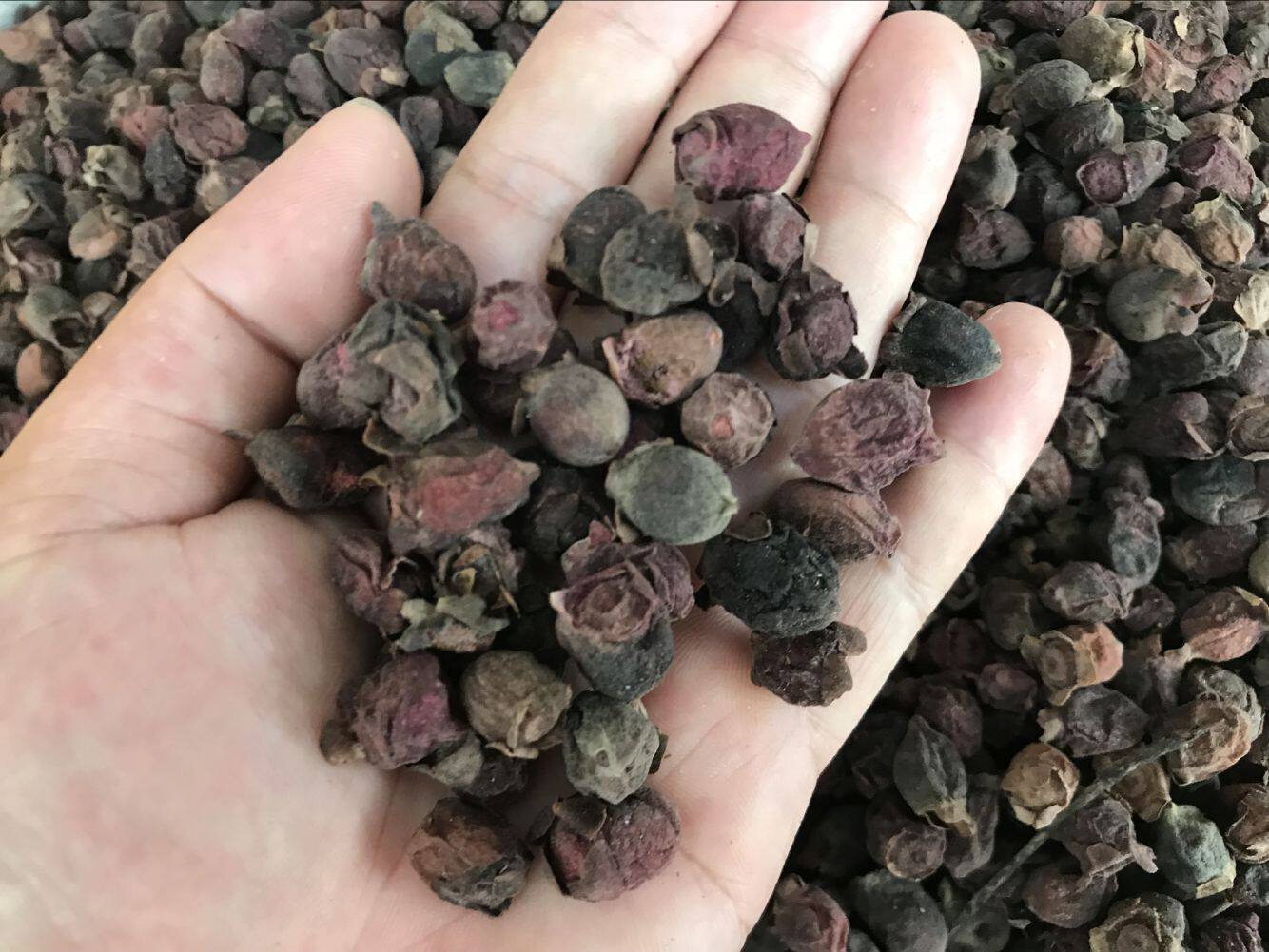 野生山桃金娘山多尼果干三蒸三晒泡酒500克其他药食同源食品