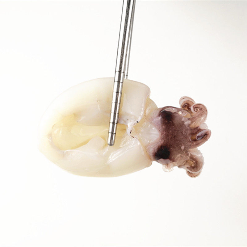 青岛小墨鱼鲜活海鲜小乌贼新鲜花枝墨斗鱼墨鱼仔去皮去内脏500g