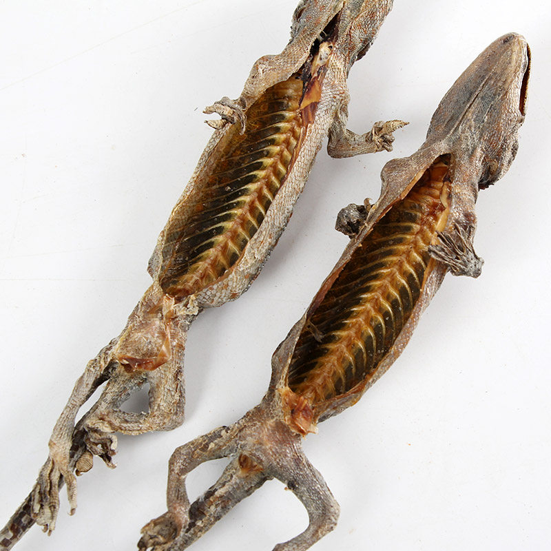 蛤蚧 泡酒料男性滋补 蛤蚧干货一对 泡酒材料药材店内另有 海马干