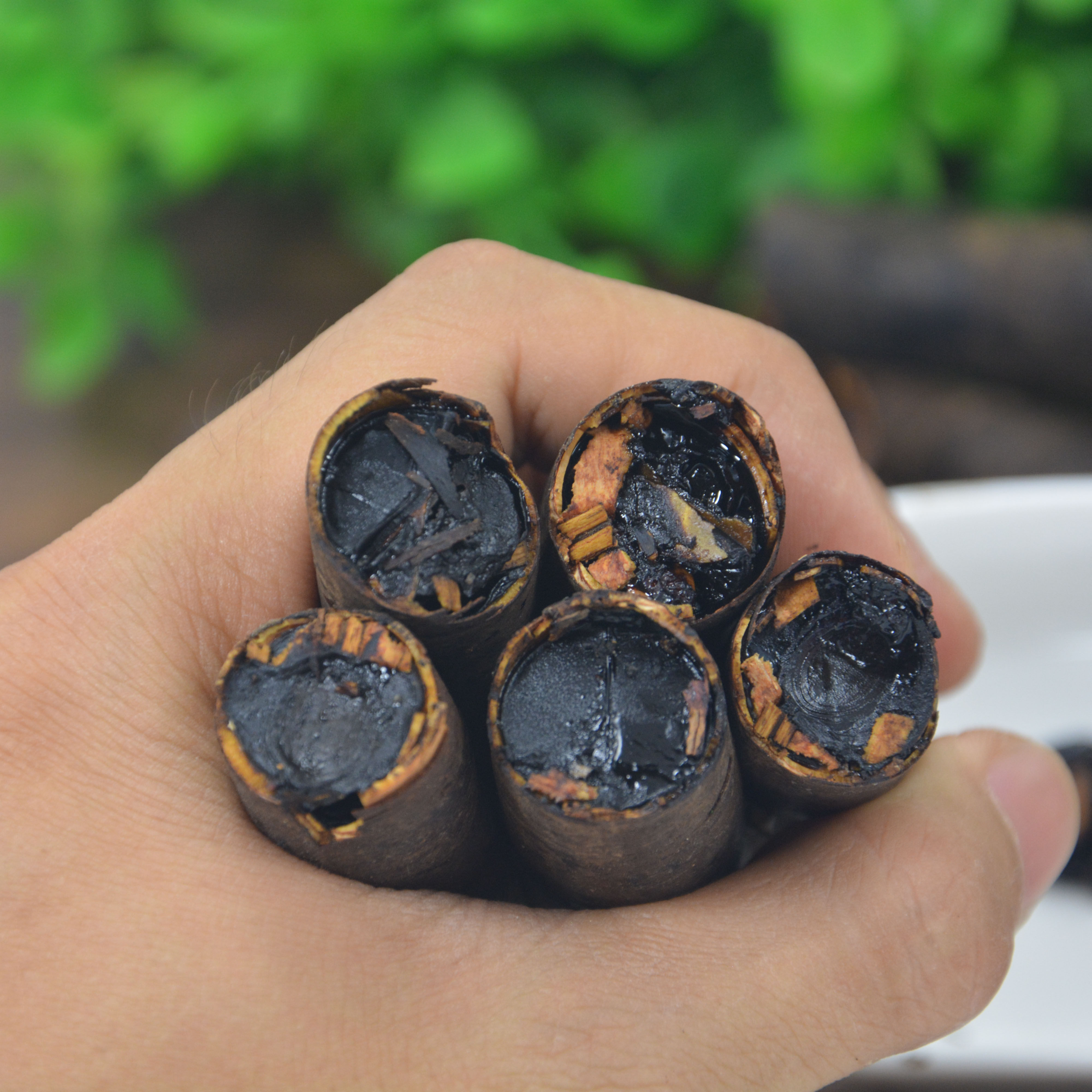 原生态野生缅甸大解果便-秘果纯植物果实泡水即食500g袋全国包邮