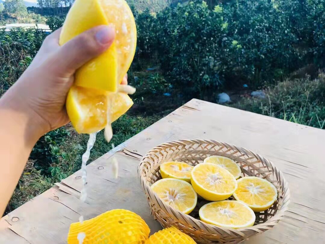 台湾黄金葡萄柚9斤西柚新鲜当季孕妇水果爆汁柚子