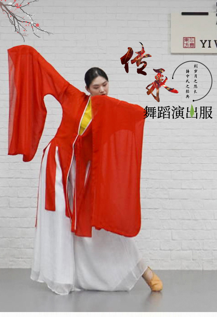古典汉唐舞博袖广演出服中国国风长款飘逸北京民族服装
