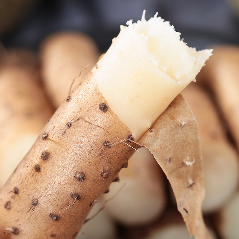 山药正宗小白铁棍淮山河南焦作温县铁杆怀山山药及其制品