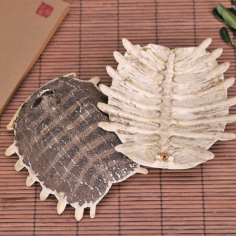 鳖甲中药材店铺鳖甲粉甲鱼壳鳖壳鳖盖子老鳖盖甲鱼壳粉500g包邮