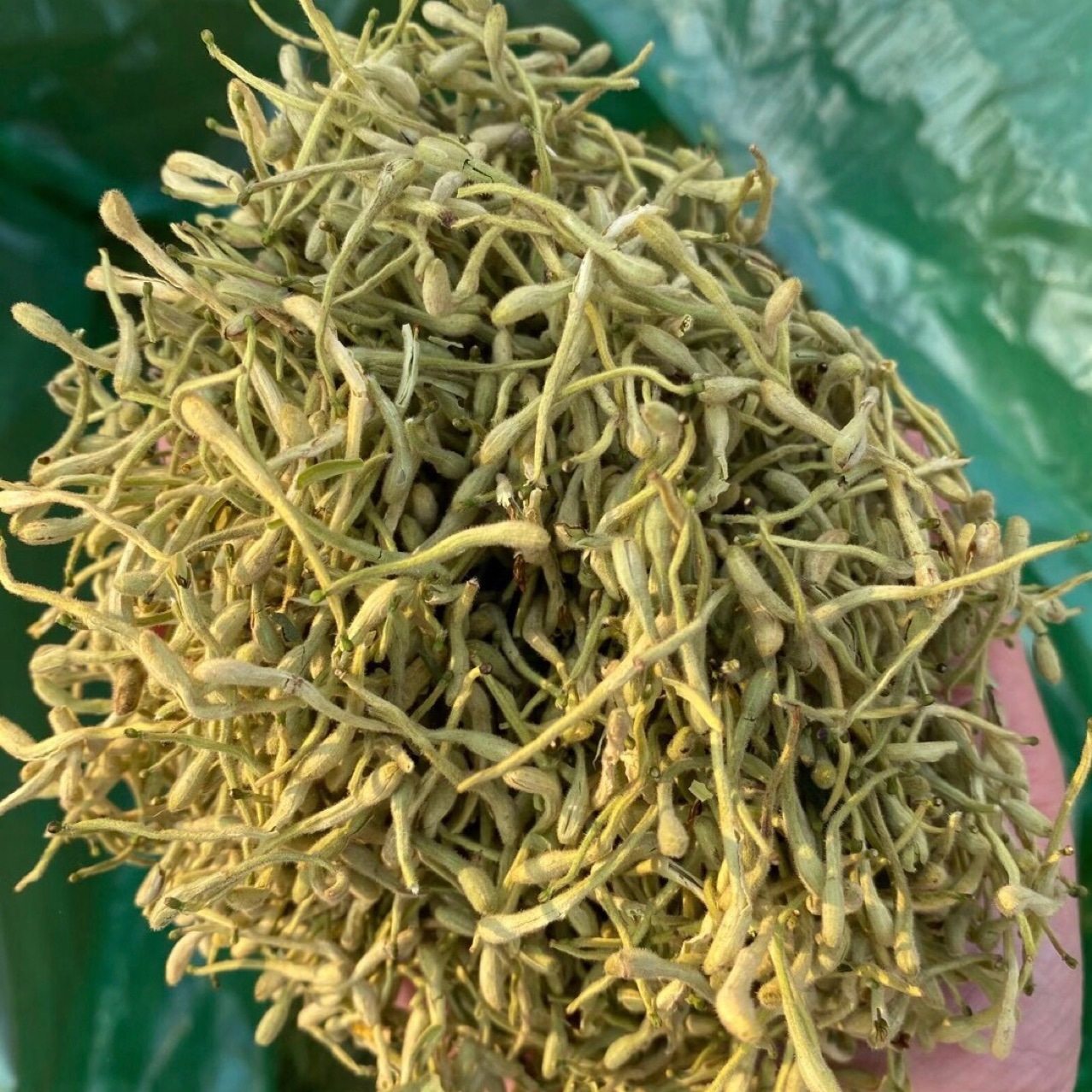 金银花中药材店铺正品河南干泡二花250克包邮中草药金银花