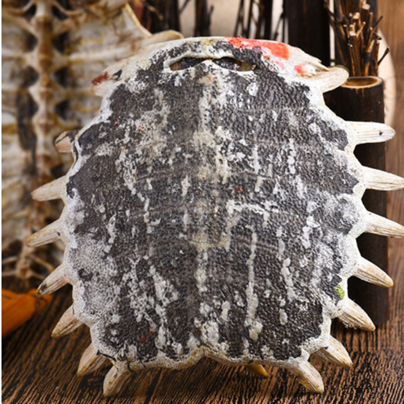 中药材鳖甲500g 正品甲鱼壳 鳖壳 鳖盖子 老鳖盖 龟板 甲鱼壳粉