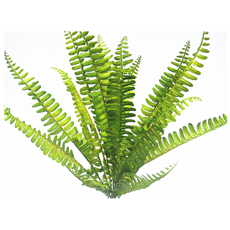 仿真单支排草蕨叶塑料绿植造景装饰植物植物人人造仿真绿植