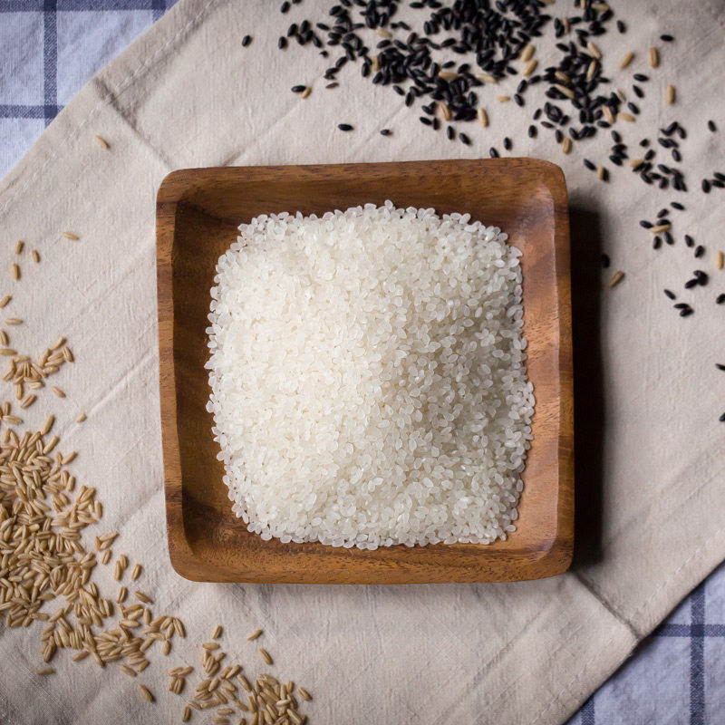 普康6号东北香米 小粒香米5kg东北特产大米粳米现磨鲜稻10斤包邮