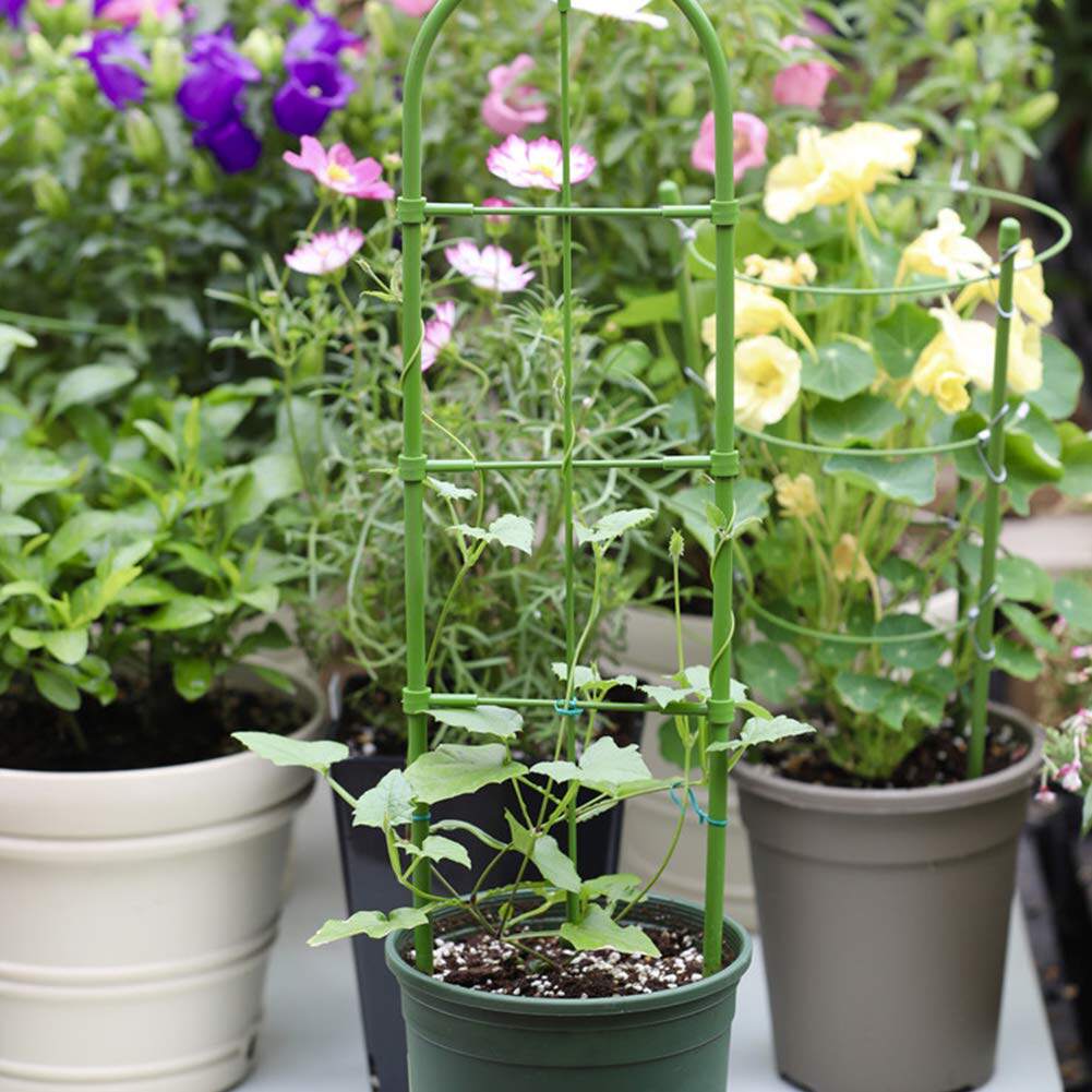 支架园艺爬藤藤架花插栅栏撑花花卉花支撑架栅栏