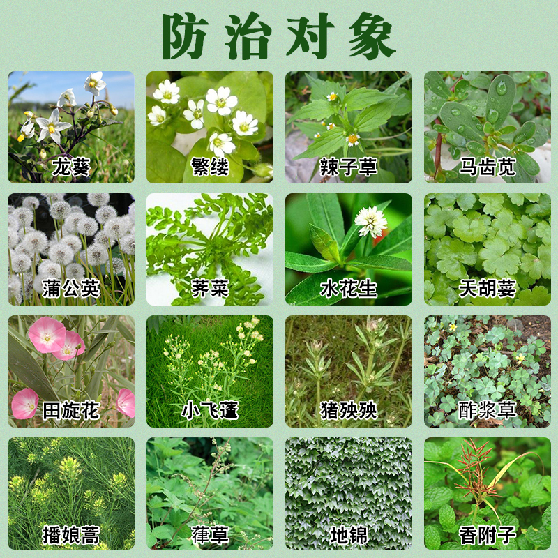 环嗪酮杀树剂烂根杀树王灭树剂除树剂杀竹剂死树剂杀大树杀树烂根