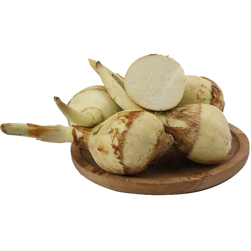 云南现挖茨菇新鲜白茨菇5斤包邮农家自种新鲜慈姑白马蹄 粉糯茨菰