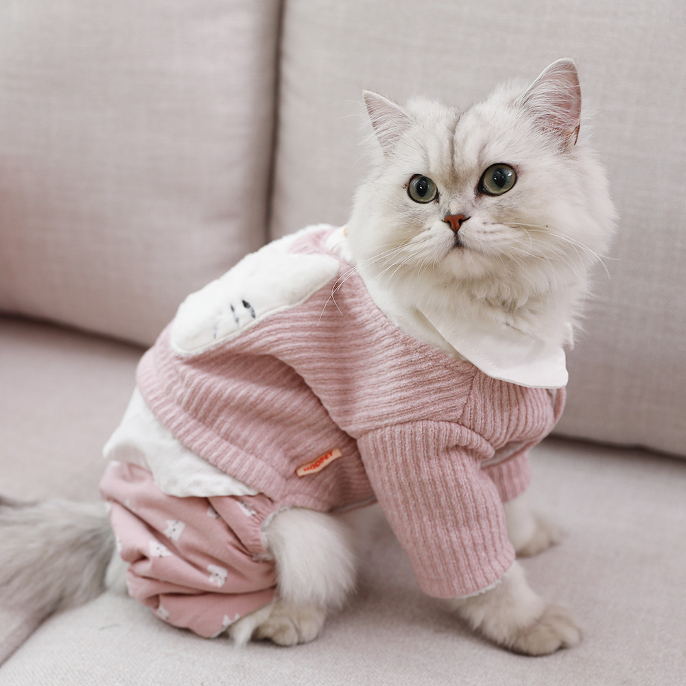 衣服猫咪冬季保暖秋冬幼猫宠物猫猫服装布偶猫狗宠物服装