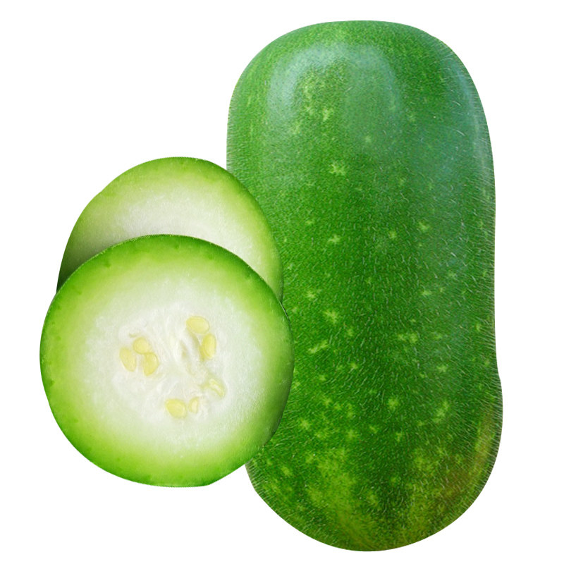 冬瓜绿春种子传统绿皮小节瓜籽夏秋家庭园艺种子
