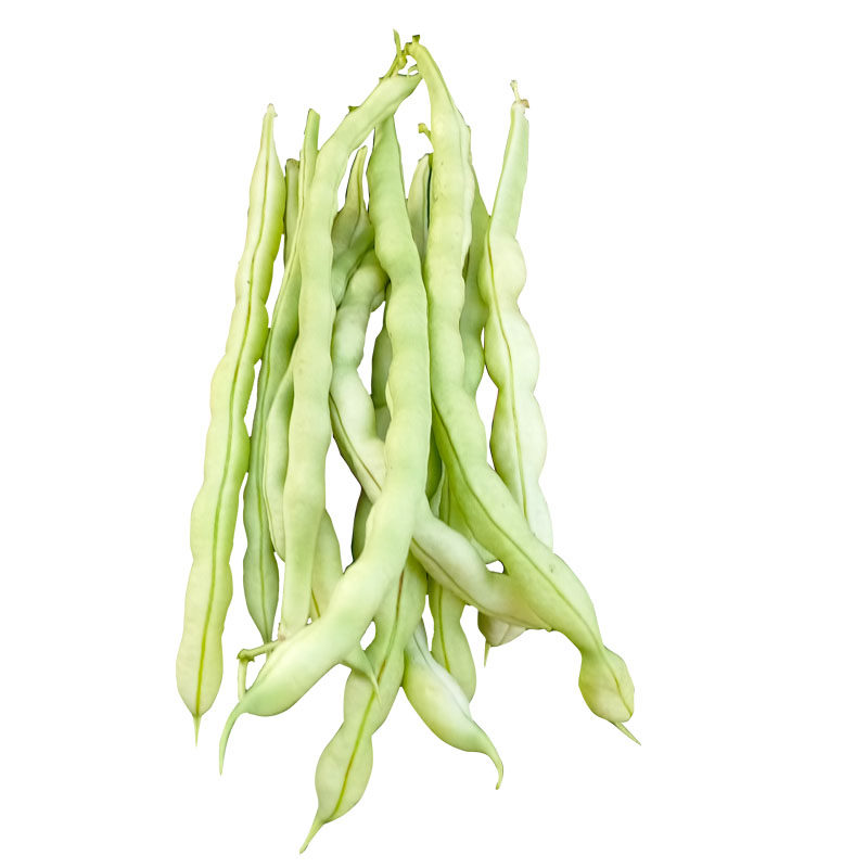 种籽菜种蔬菜阳台农家秋季豆春四季少白豆角家庭园艺种子