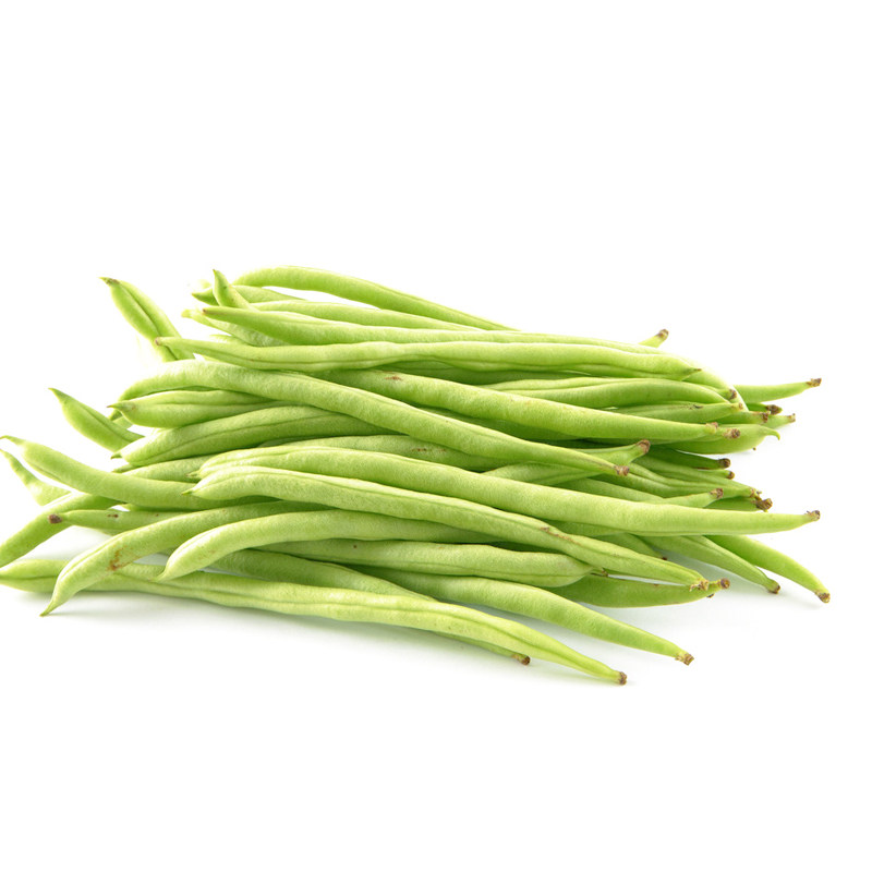 豆角四季芸豆菜种蔬菜盆栽秋季籽春无筋籽青家庭园艺种子