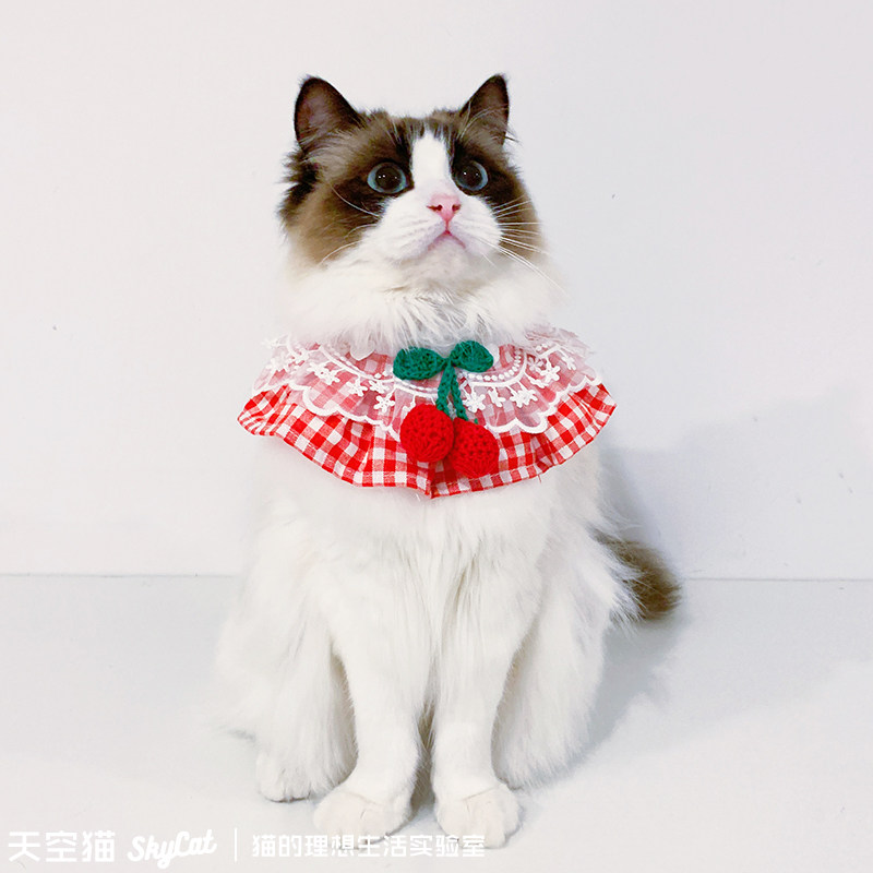天空猫可爱可爱猫猫咪围脖小猫口水用品围兜布偶围巾