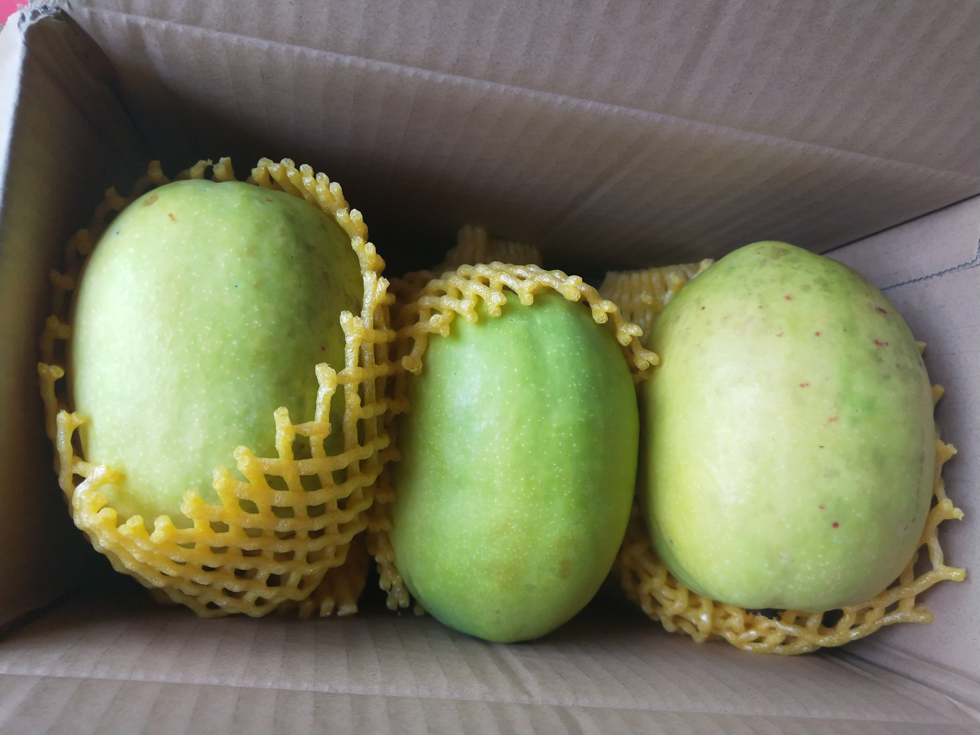 云南保山大理临沧德宏版纳特产新鲜白花木瓜木瓜