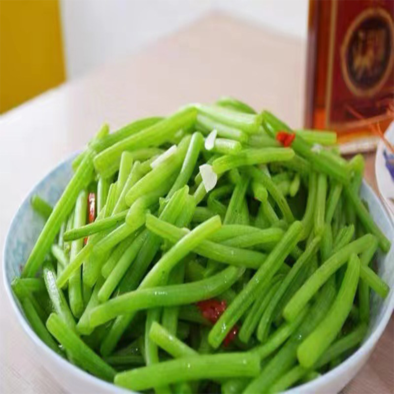 地瓜梗新鲜食用红薯梗现摘鲜嫩山东省农家自种带箱5斤顺丰包邮