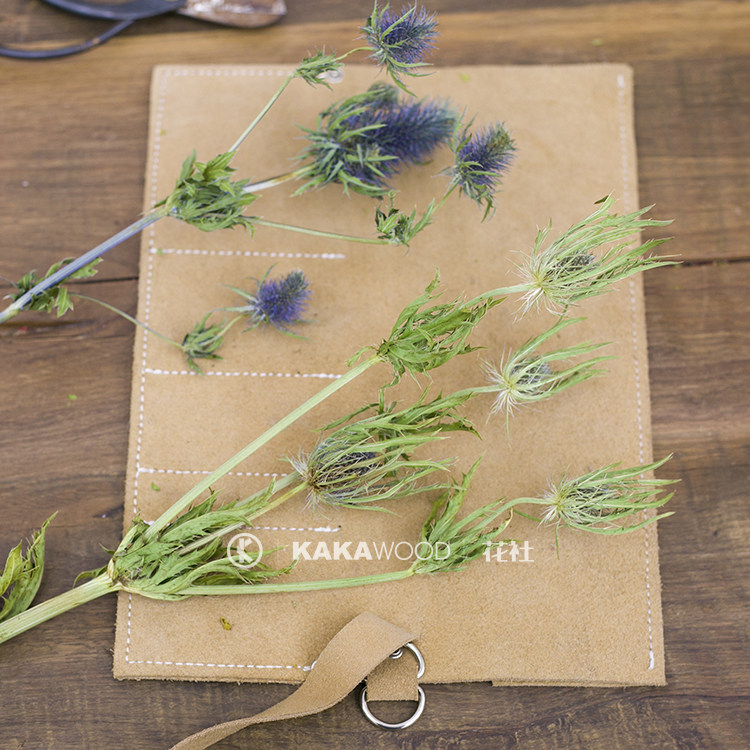 北欧天然干花真花风干蓝色插花摄影道具橱窗设计家居装饰品大刺芹