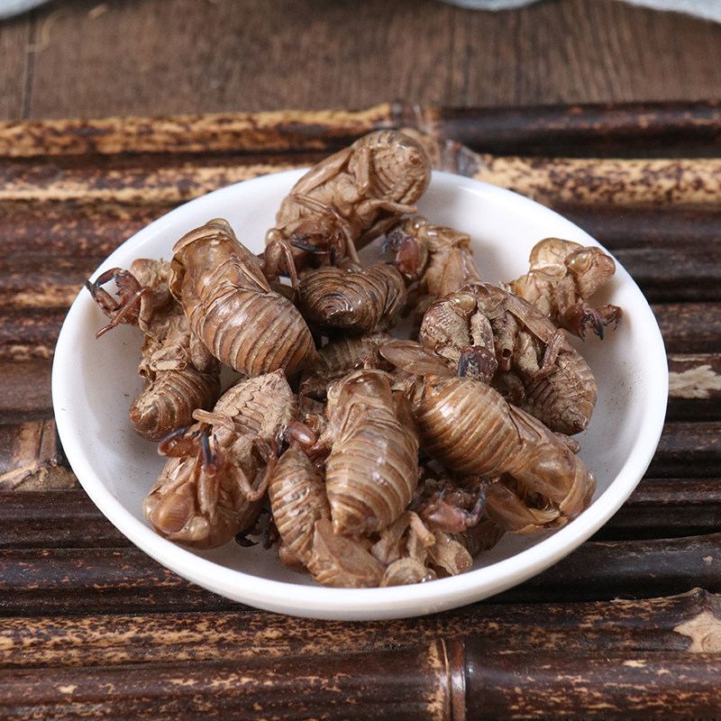 中药材蝉蜕蝉壳知了蝉退虫蜕蝉衣枯蝉500g包邮其他药食同源食品