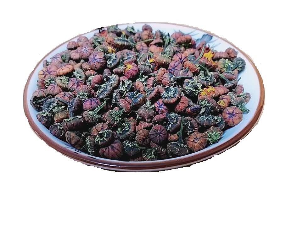 雪菊昆仑新疆胎菊红菊天山冰山血菊野生花草茶养生茶