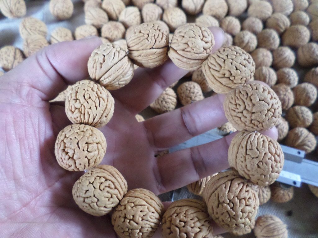 矮桩同树凤尾蚂蚁苹果桃核2024mm原籽手持念珠手串