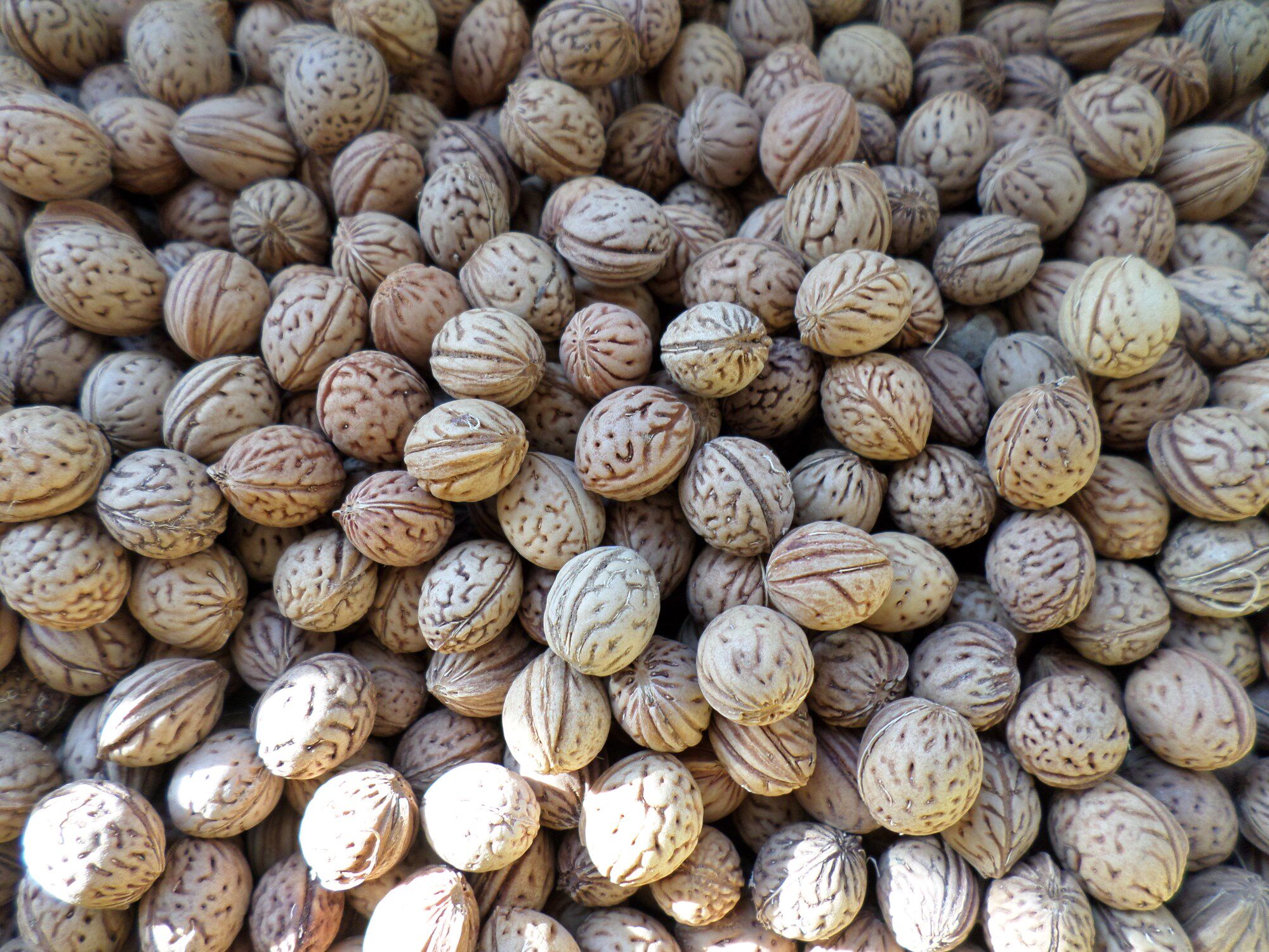 野生脑纹小桃桃核1013mm念珠手持项链挂手串保健佛珠