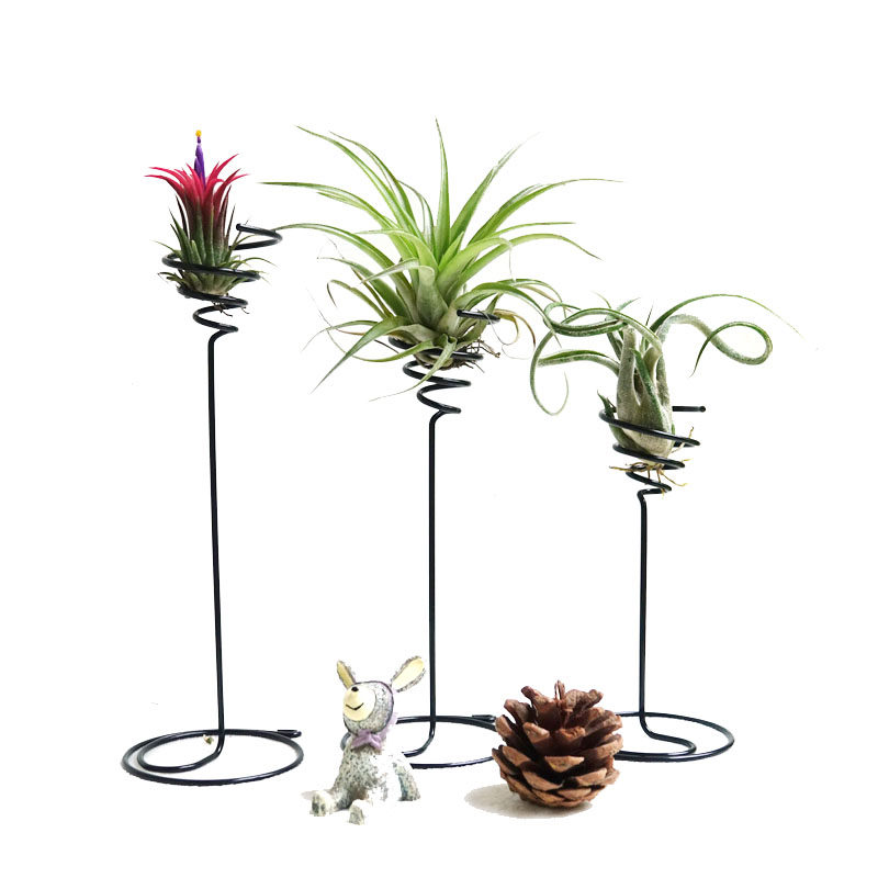 空凤空气凤梨弹簧支架花器底座高脚绿植