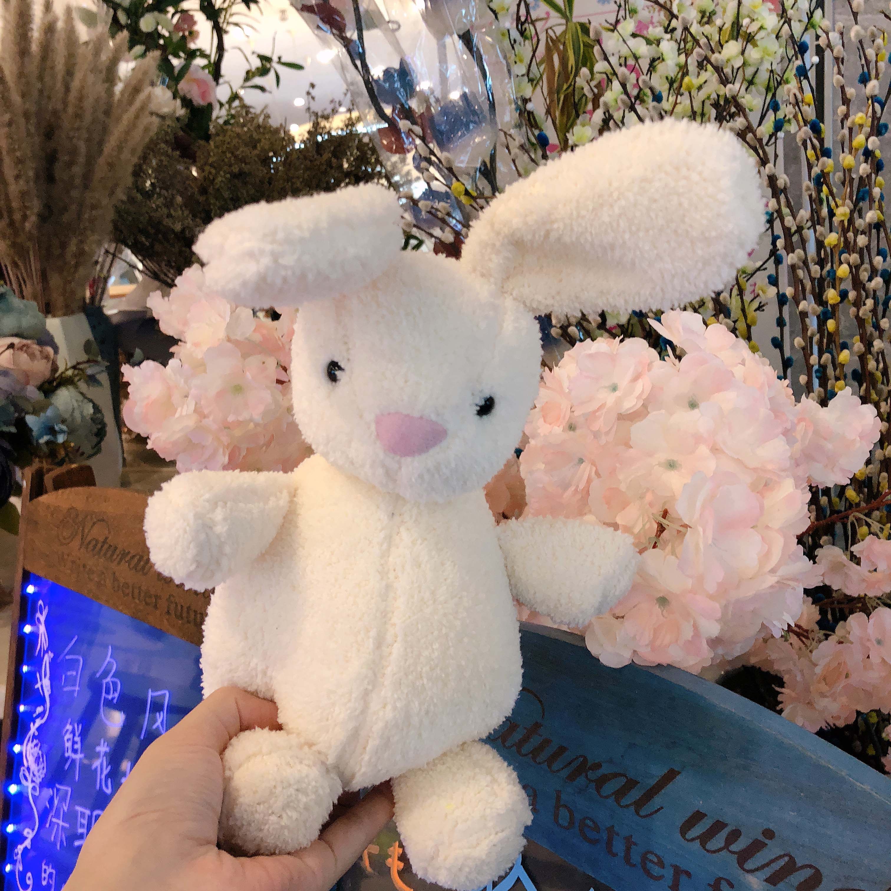 ins兔子公仔小清新宝宝兔玩偶柔软小玩偶儿童玩具女孩手拿小兔子