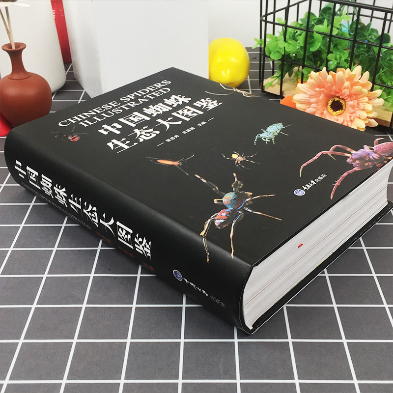 蜘蛛生态图鉴昆虫中国71科科普读物图片1139种种类生命科学