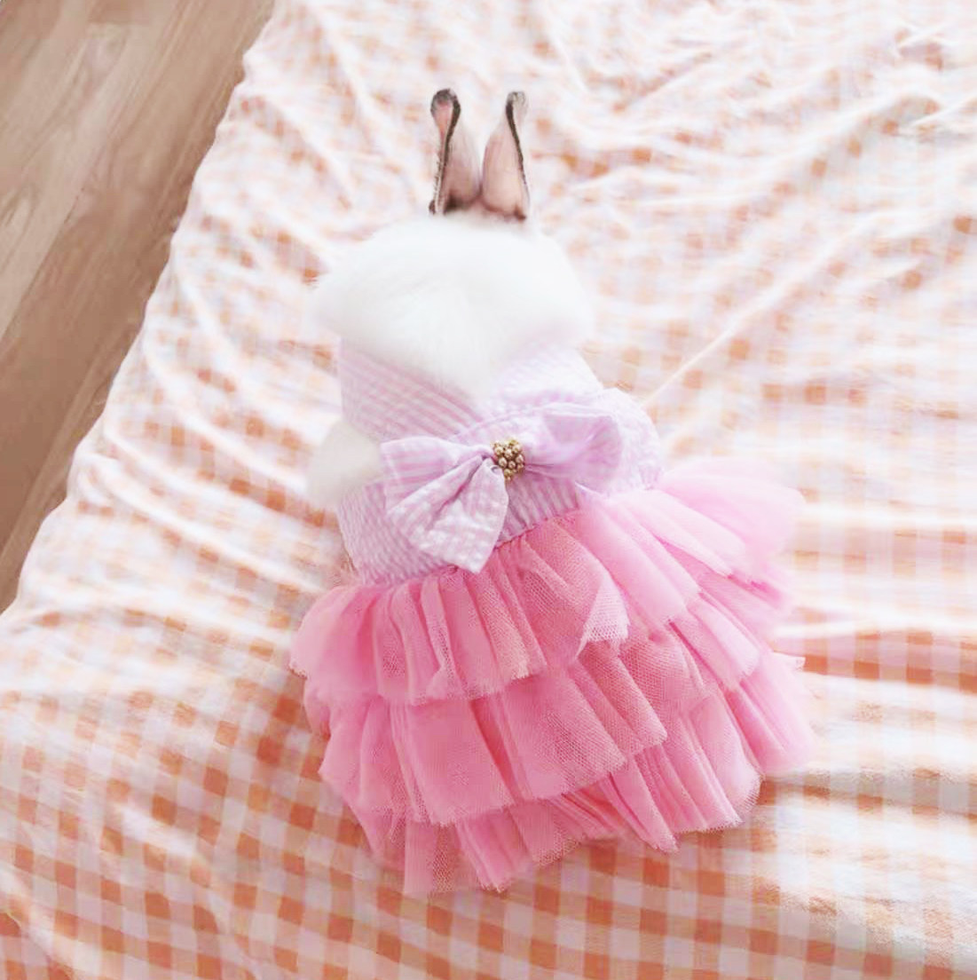 兔子衣服侏儒宠物用品秋冬垂耳兔裙子保暖荷兰狗宠物服装