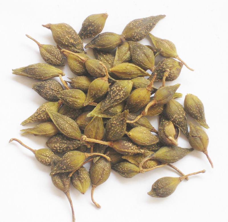 优质中药材整个连翘 连壳 青翘 落翘破损少500克包邮