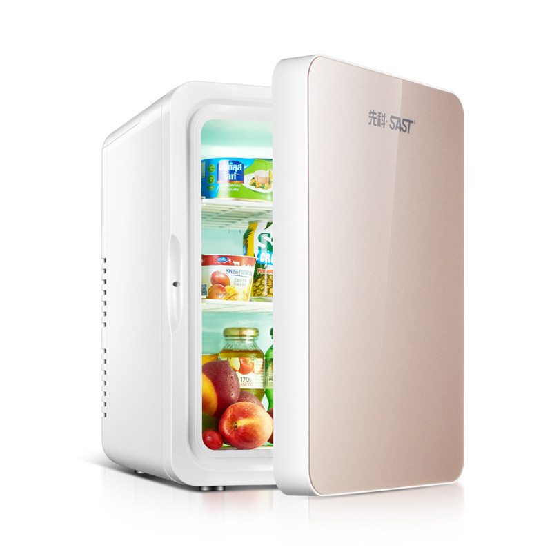冰箱先科迷你小型手提家用学生宿舍出租房化妆品车载冰箱