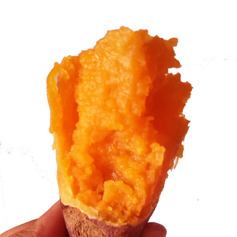 10株水果红薯地瓜红心番薯山芋种子苏八小花番薯