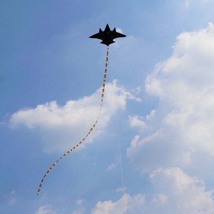 风筝新款飞机战斗机儿童卡通成人大型新手初学者风筝