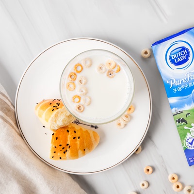 dutch lady荷兰子母奶200ml*30高钙儿童早餐奶进口子母全脂纯牛奶
