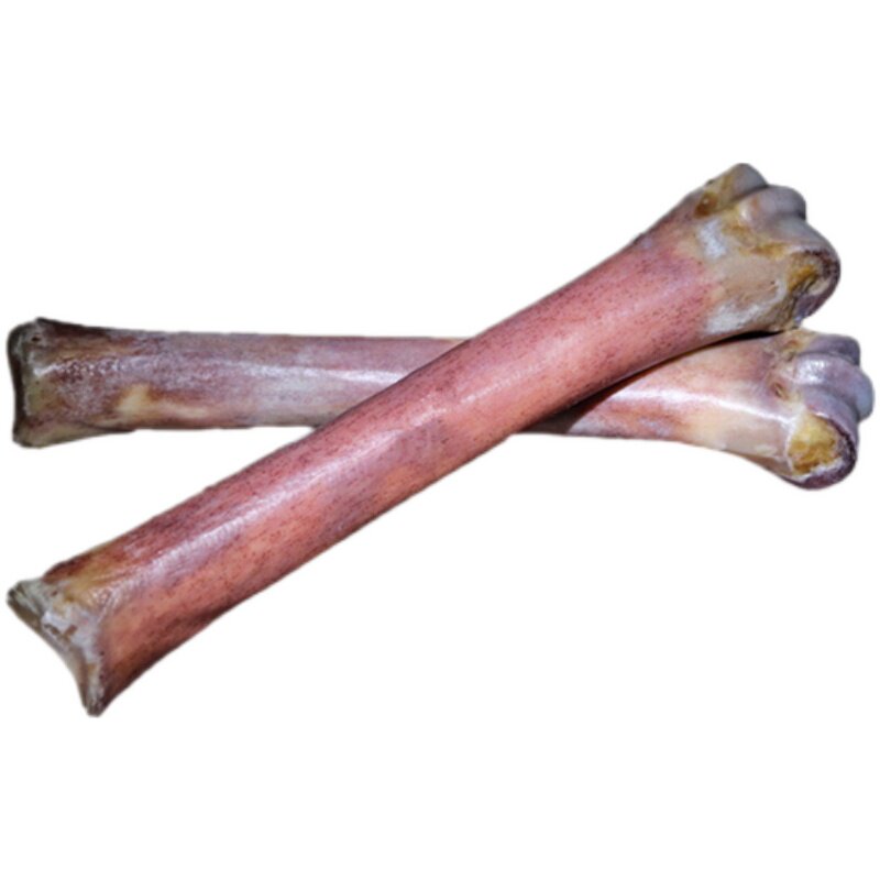 收藏文玩天然骆驼腿骨棒骨满血蝌蚪纹玉化血摆件