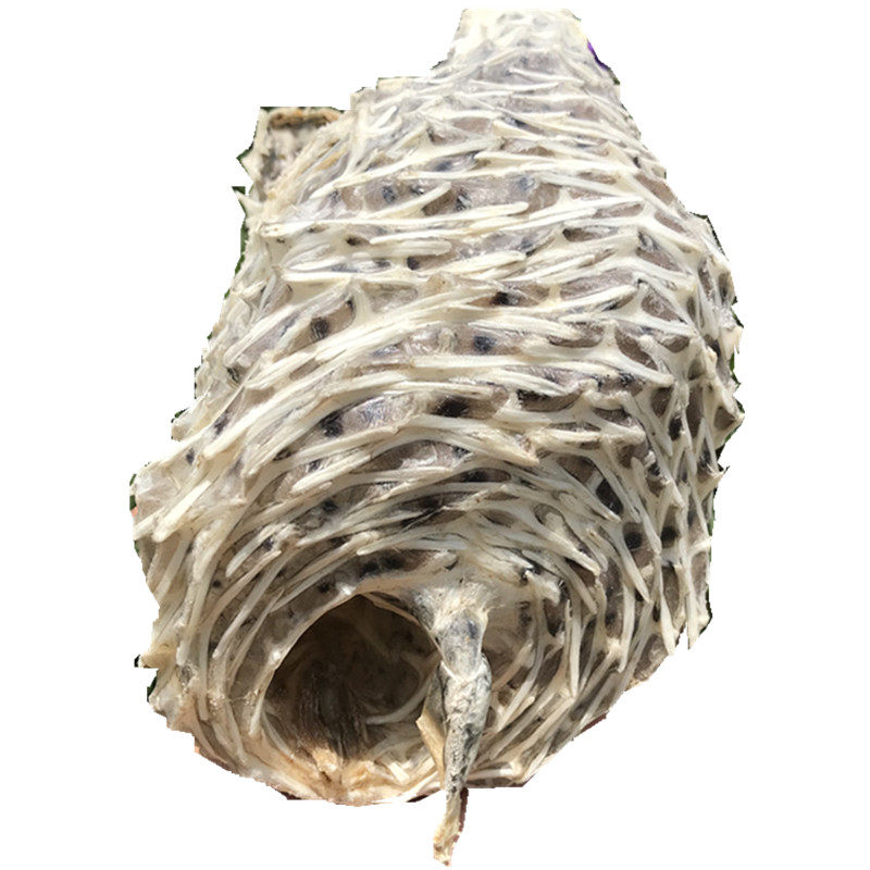 剌龟皮北海特产渔民自晒深海大号刺猬鱼炖汤鱼皮海味干货250克