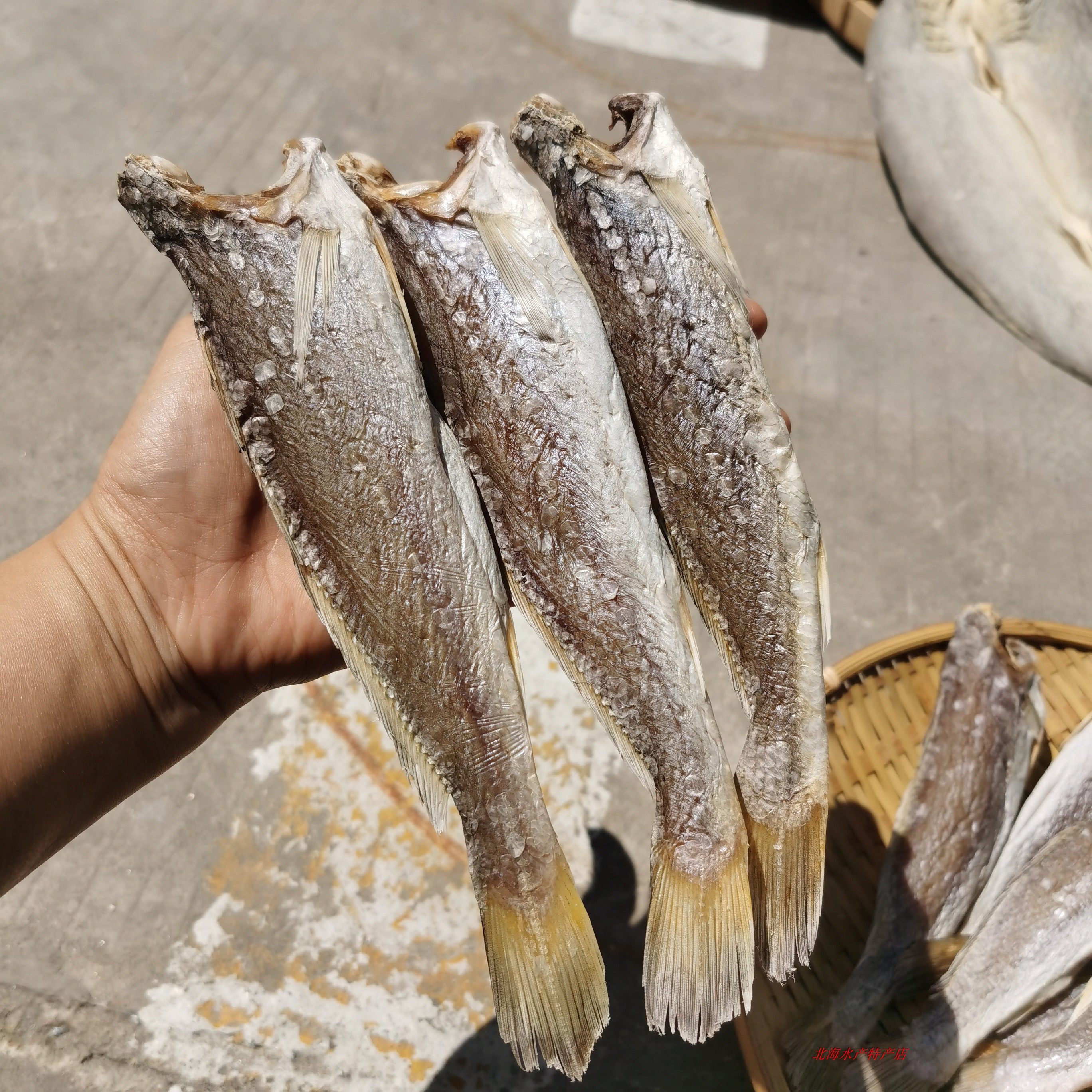鱼干三牙北海特产渔民自晒海鱼去头内脏香煎鱼干