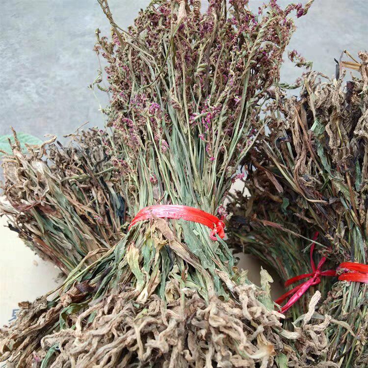 贵州新鲜盘龙250g包邮野生龙抱柱镰刀草海海珠其他药食同源食品