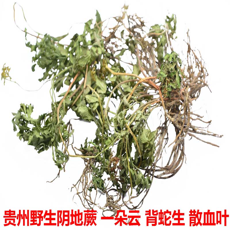 贵州省野生中草药材阴地一朵云狼鸡细辛背蛇生独脚传统滋补品其他