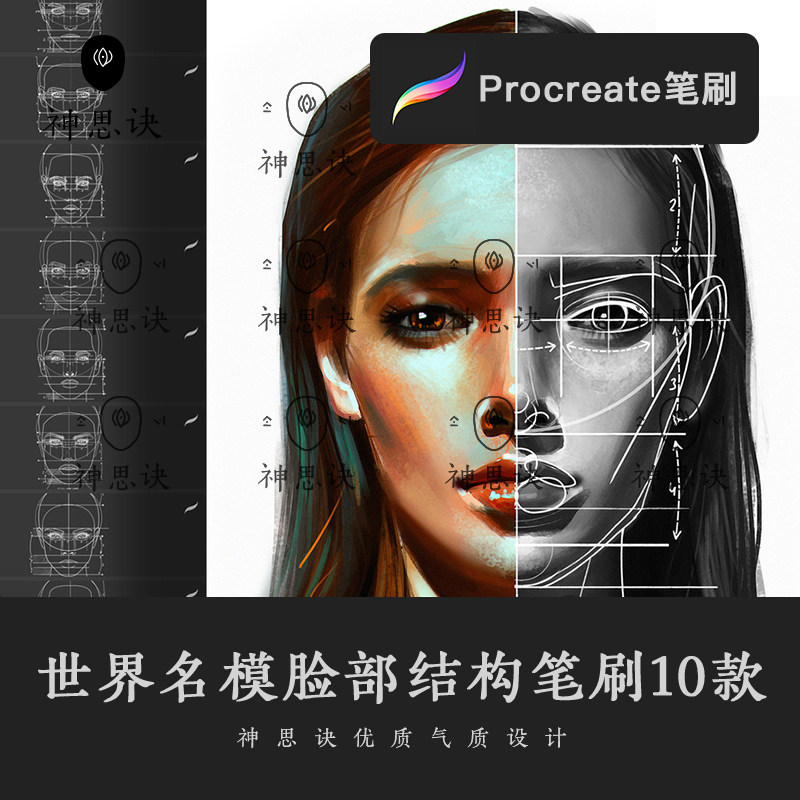 procreate世界名模脸部结构笔刷头部五官正面人像设计素材