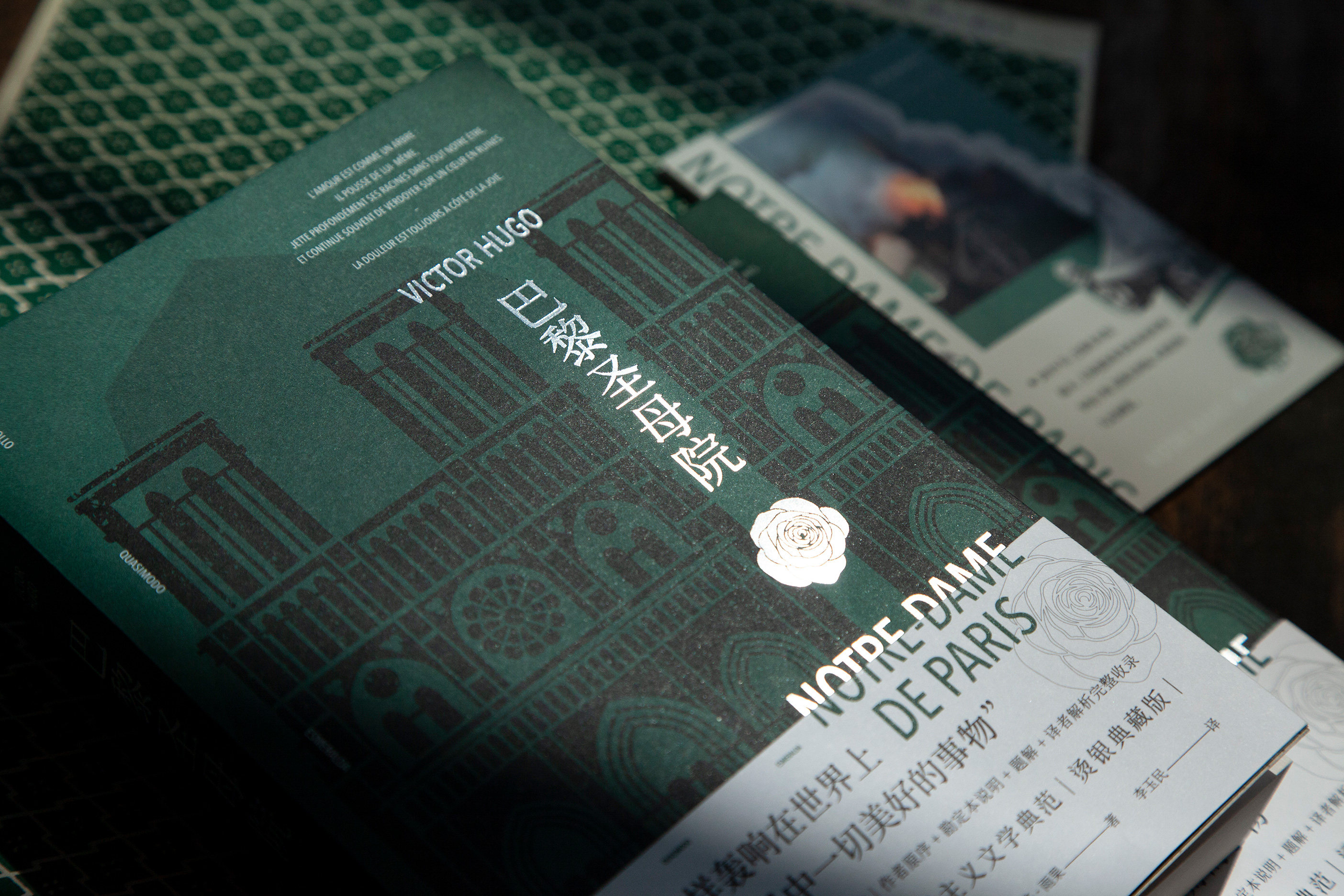 巴黎圣母雨果亲定全本长篇小说世界名著小说随书附赠世界名著