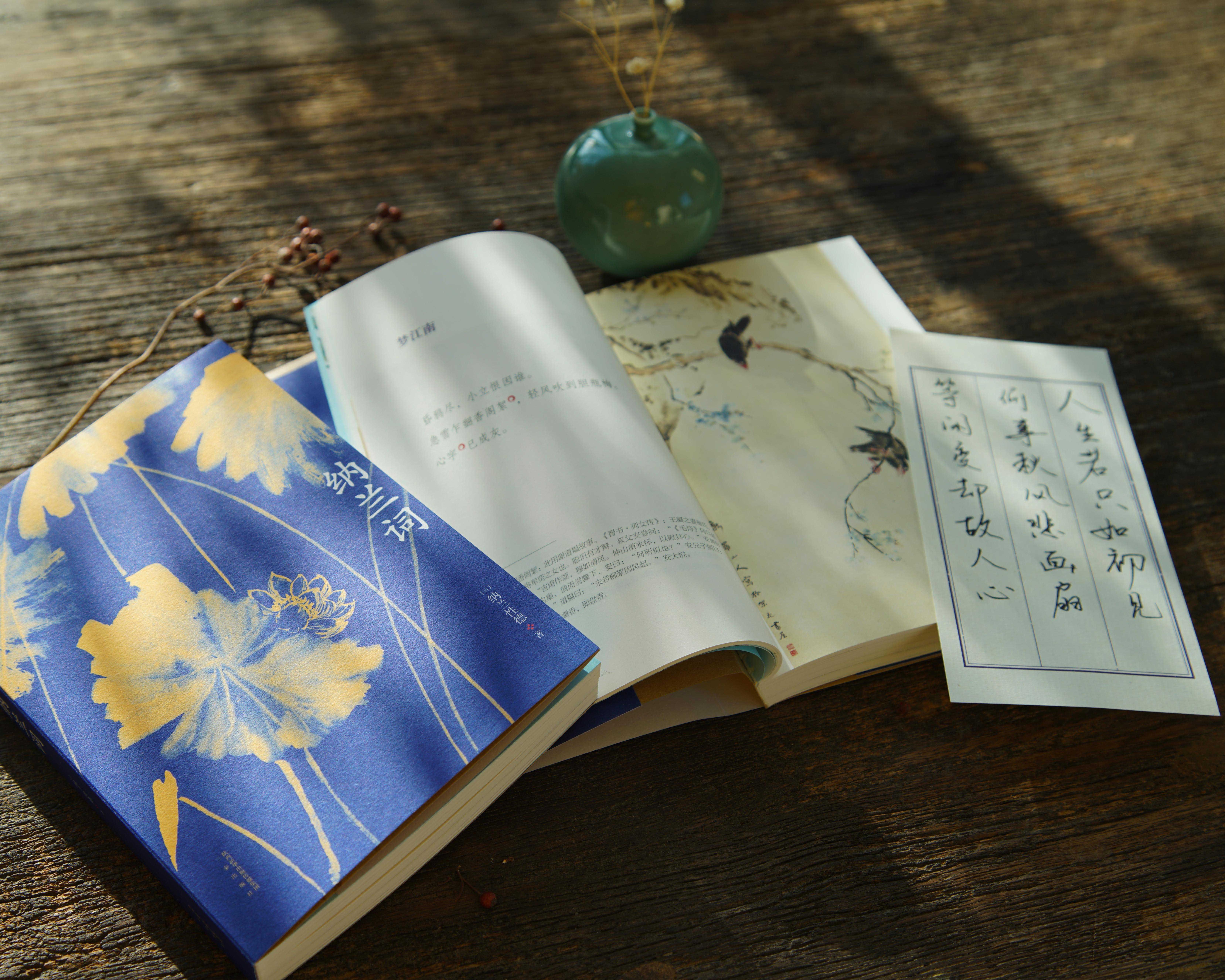 纳兰词 选集 纳兰容若 赠三行花笺 古诗词 单本 书尽悲欢离合之情 写