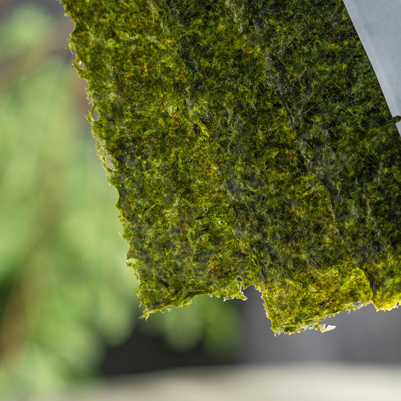 寿司海苔大片专用食材 海苔 做寿司用 寿司海苔紫菜包饭专用家用 - 痕