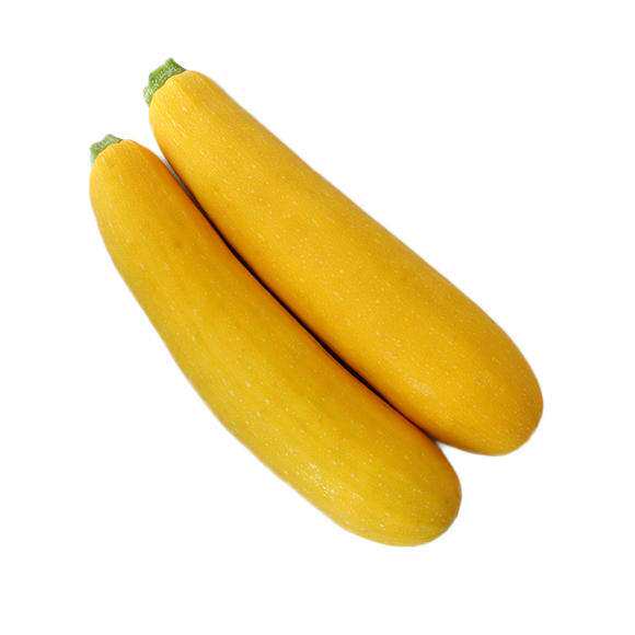 金冠黄皮西葫芦种子香蕉种籽春秋秋季阳台盆栽家庭园艺种子