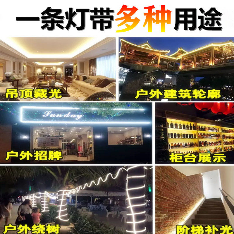 宝利格100米装 220v外墙亮化别墅灯带防水led 户外长条工地隧道超