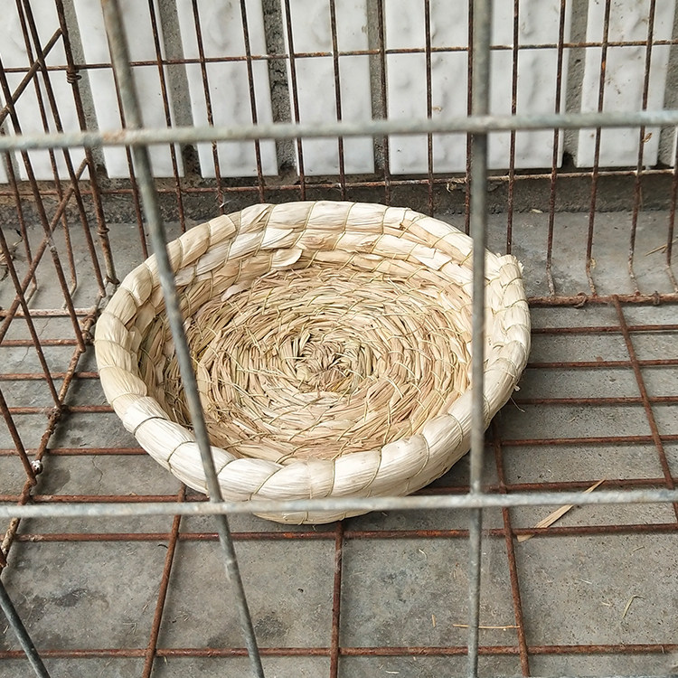 玄风鸟窝天然草窝冬天保暖玄凤鹦鹉繁殖睡觉其他